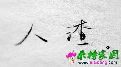 t01dc16a46c1c2d5b97.webp
