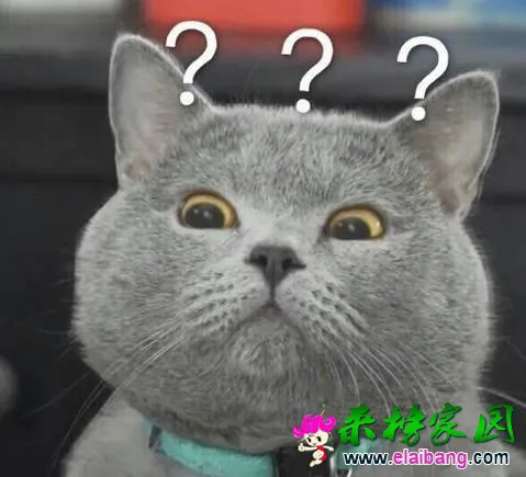 t010bdf1955f6c4e174.webp