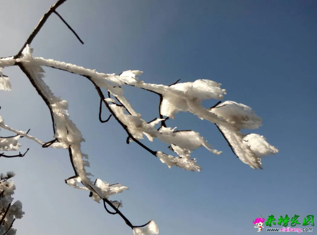 144149p4tz41b3tj6b56b4.webp