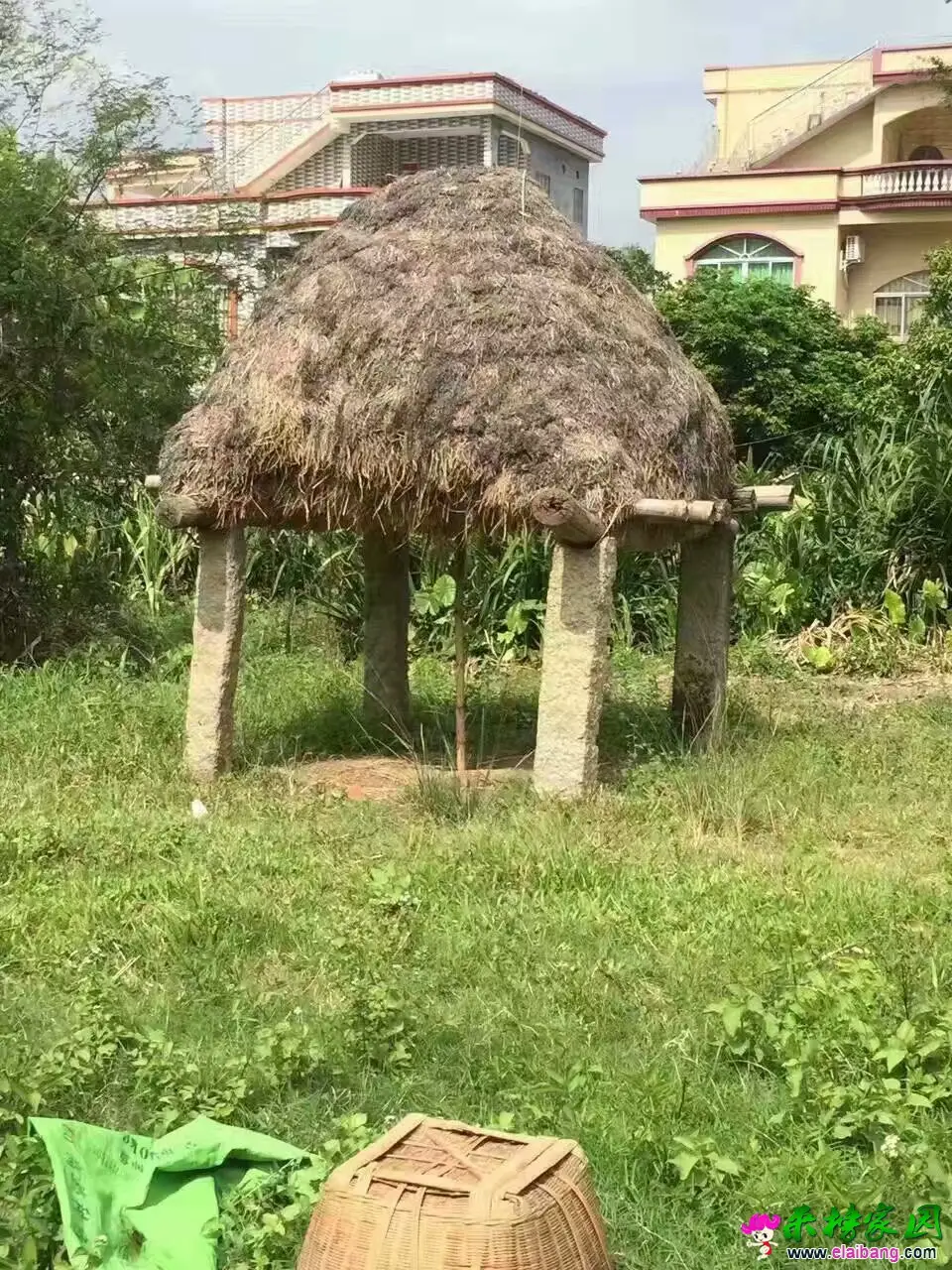 230892548201478874.webp