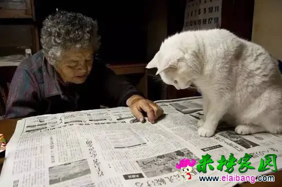 a5f281b0e31b091454088cd088e48a91.webp