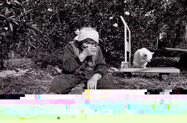 dd2c9f3e234178b6862a5fc812ce6bd9.webp