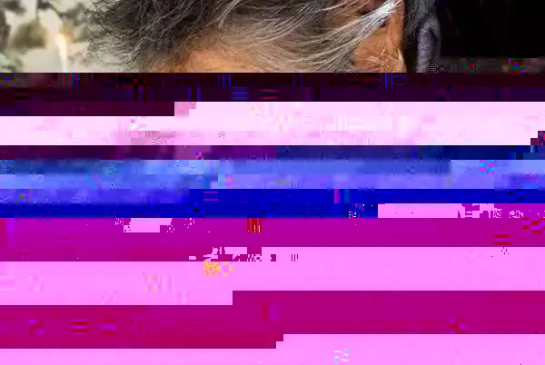 7adb0f19f039130d3a1b20bc46a0fd3c.webp