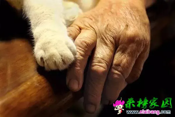 039c7e9b2dfcacbea609dbf6010507d0.webp