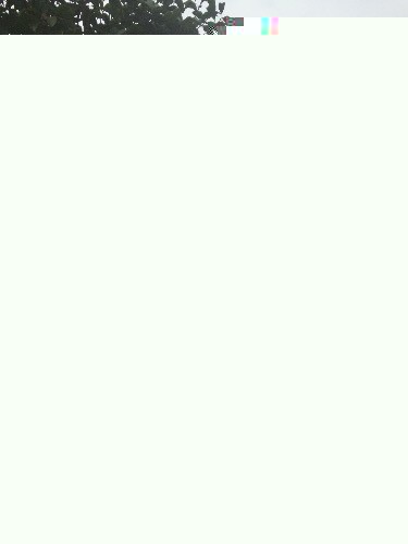 image.webp