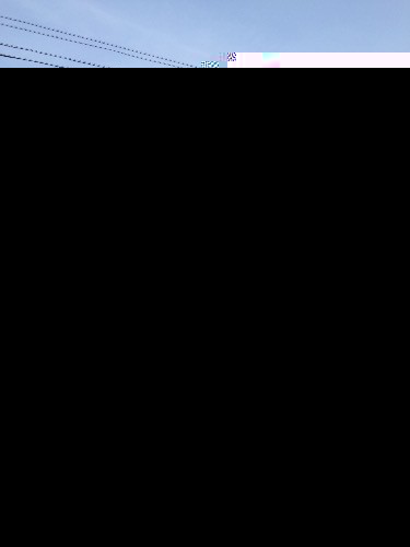 image.webp