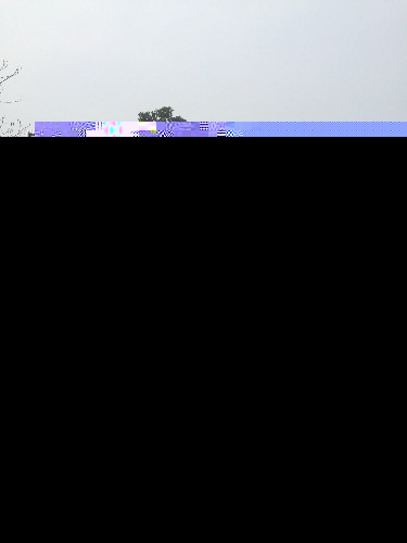 image.webp