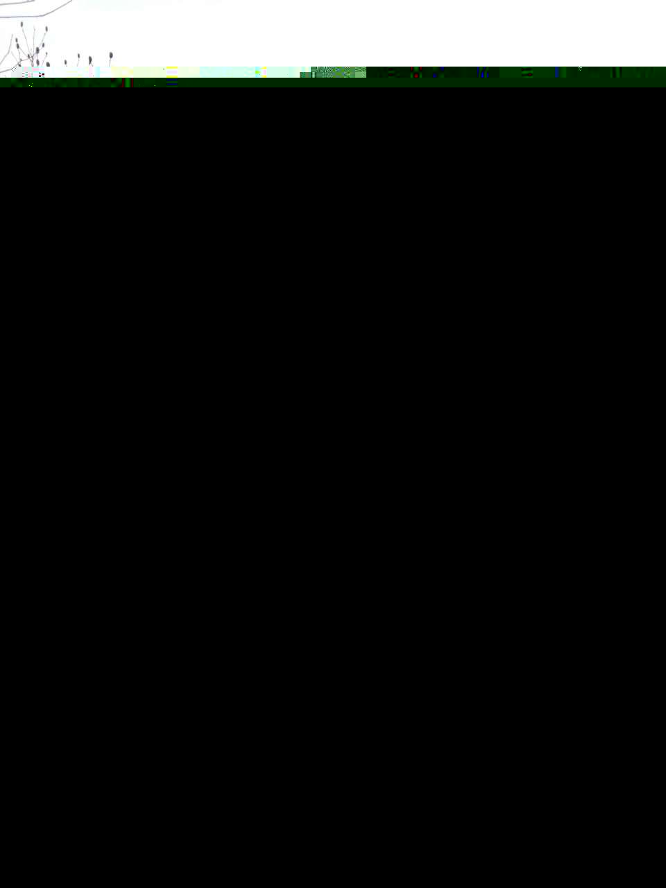getimgdata (1).webp