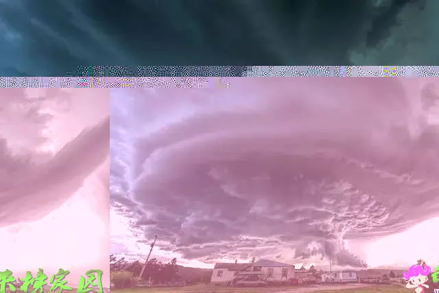 b479091126b7f22913a5f6e7967890ab.webp