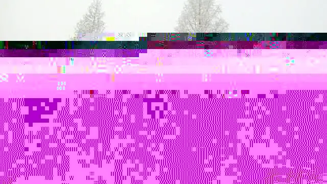 071657crckobekhc1mgi41.webp