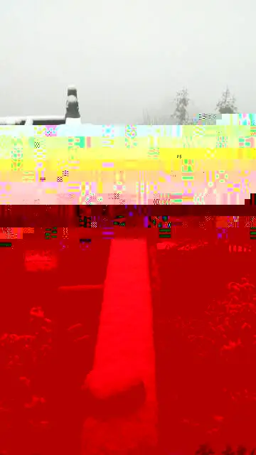 071657d3dbdbdwhrdvrrzh.webp