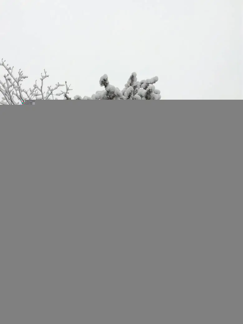 080249n9zjsskhgvy99zgg.webp