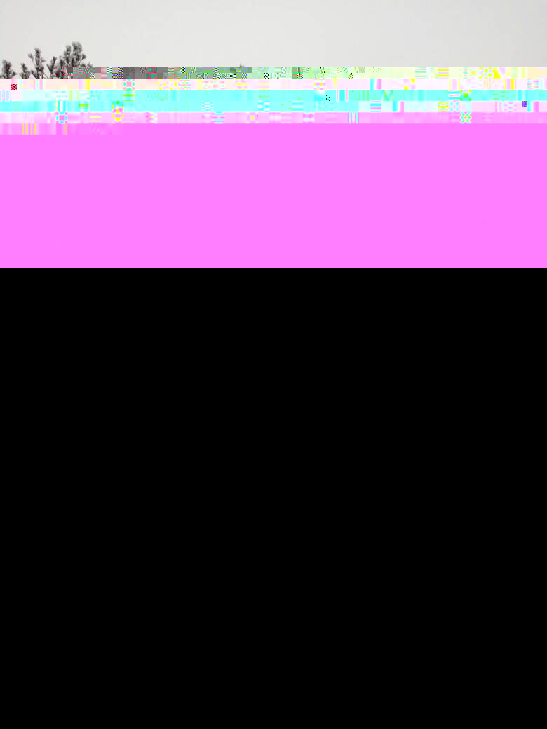 083235vf7zvff2w1f2fw72.webp
