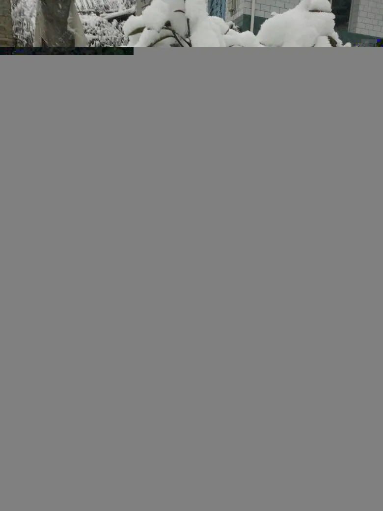 083237mbaw37as7wzqw0z8.webp