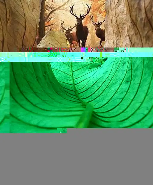 f262c419f973c62ef1608c3dfe18ab8a.webp