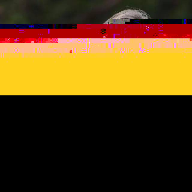 184162a6a6d4dfd06d542b315d7facff.webp