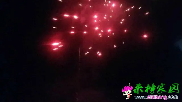091151fyqyp4j44hyoqyio.webp