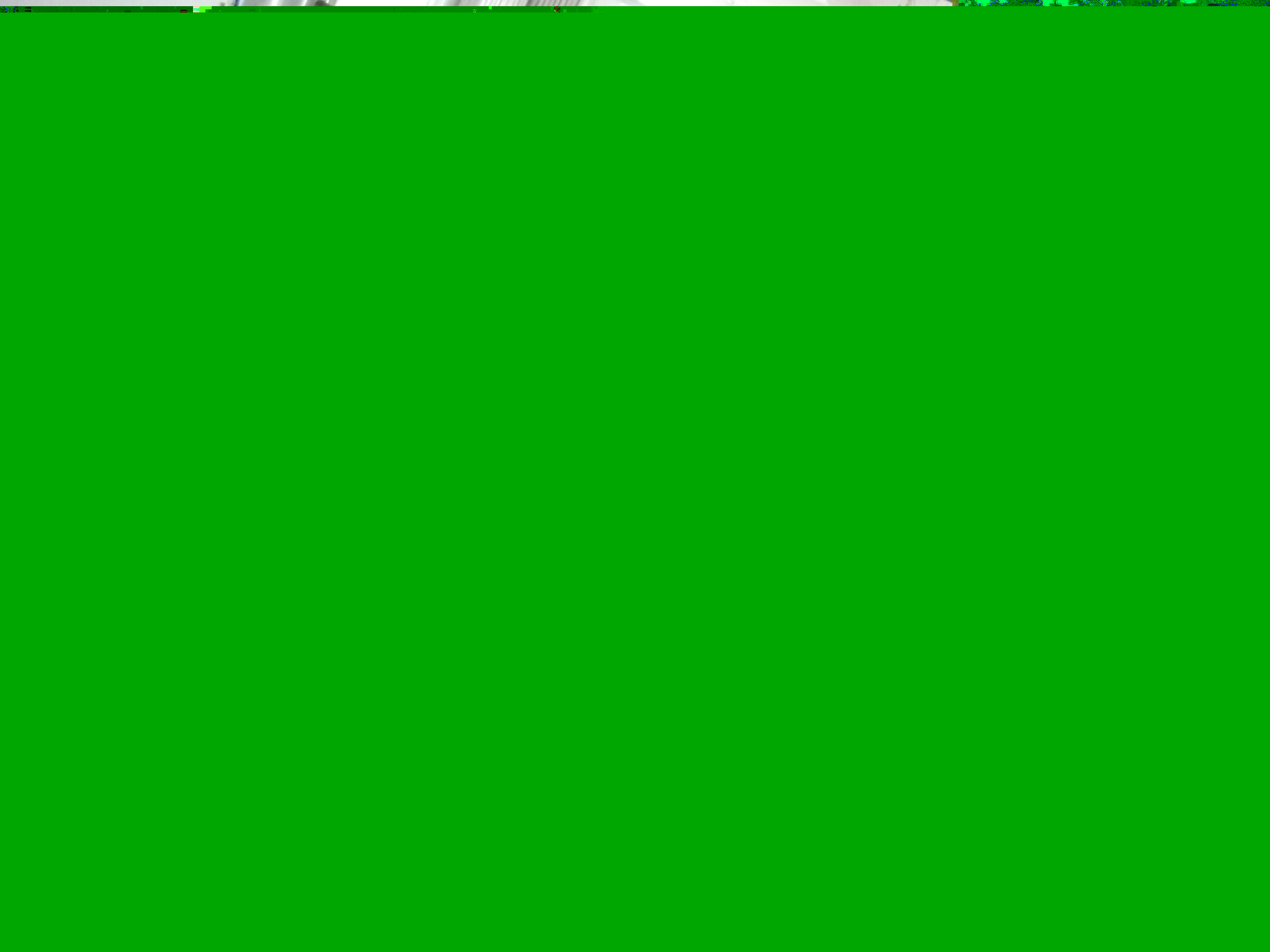 IMG_20170330_095245.webp