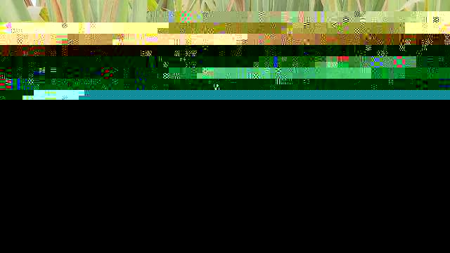 2dbae952201e977f6a1bd68956d656f4.gif