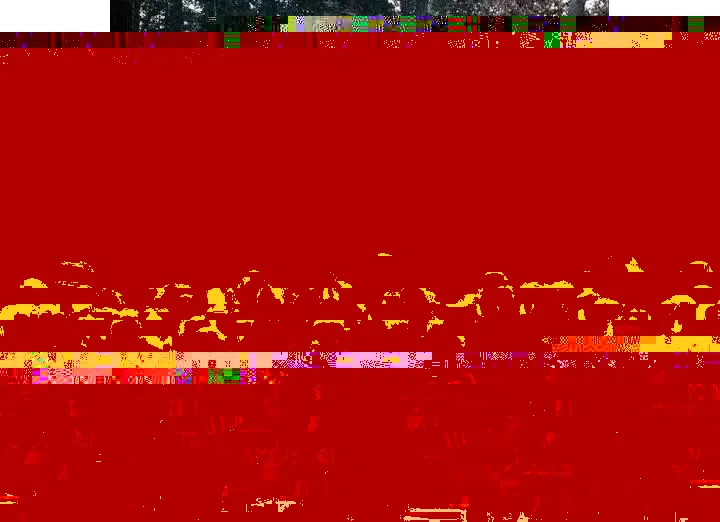 0a9797dba41f2c4da036ecd36f2d021d.webp