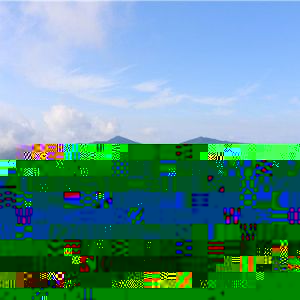 04.webp