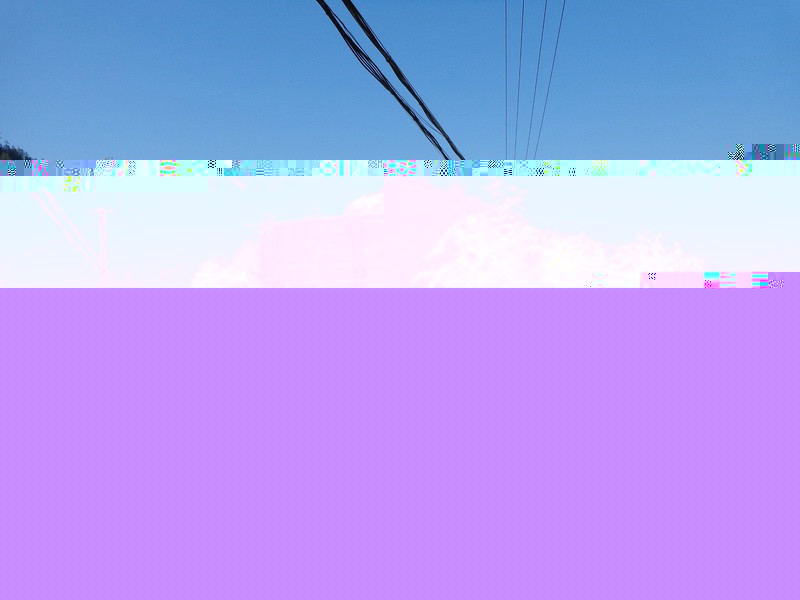 20.webp
