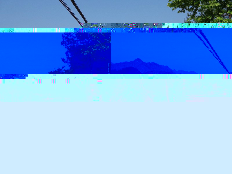 22.webp