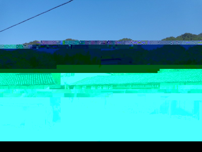 24.webp