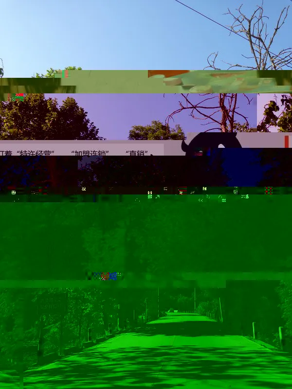 25.webp
