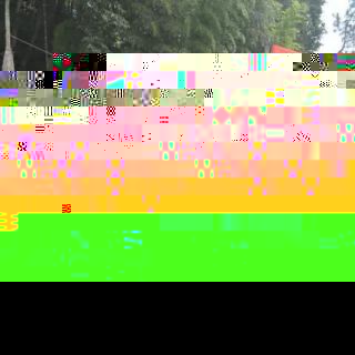 1772a21c121ae9485d3bee4d093e8c7e.gif