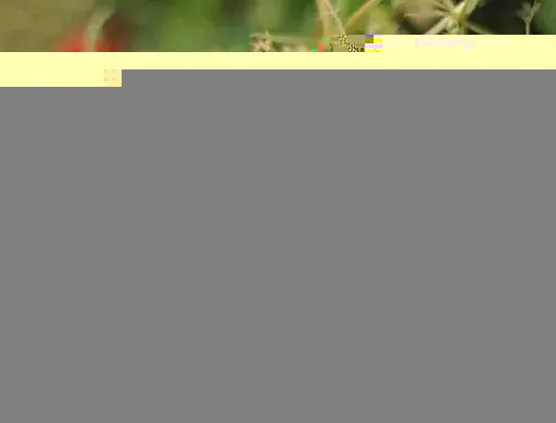 d07110914b5353e028d50d04e488fd05.webp