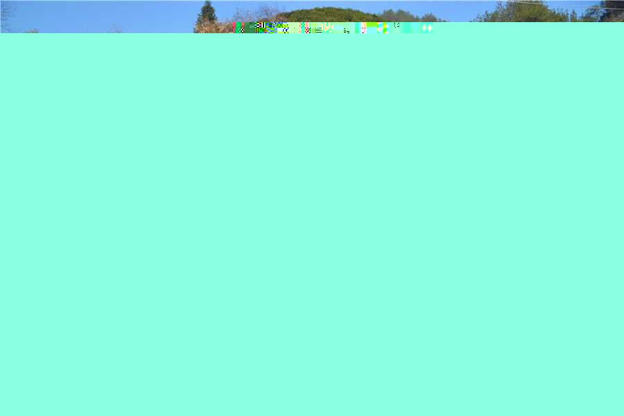0441d0d7213216fcb61e2d43ae6c6c7f.gif