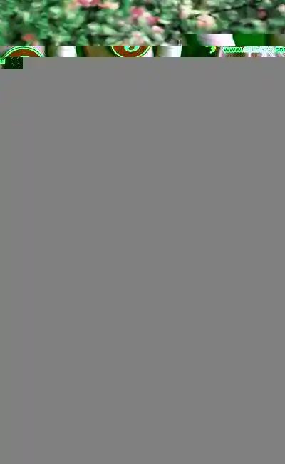 100800rythze7ulh8sw0a6.webp