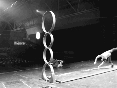 542ae0900729f2ec72f810125570eb56.gif