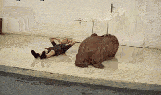 9f677f2a22c167ab8fe9410f1349a054.gif