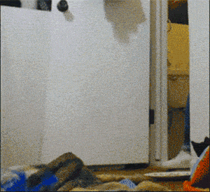 77a8eacefe834de55d06966f7a29b350.gif