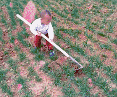 90c745ebfb8a7ea28b8ee1ae06ae934a.gif