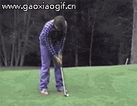 247f615813e1898b40b132266fca2804.gif