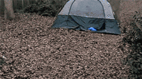 ff40a925fff809392cc5bb40ee195e6f.gif