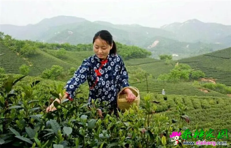 TIM截图20170929212852.webp