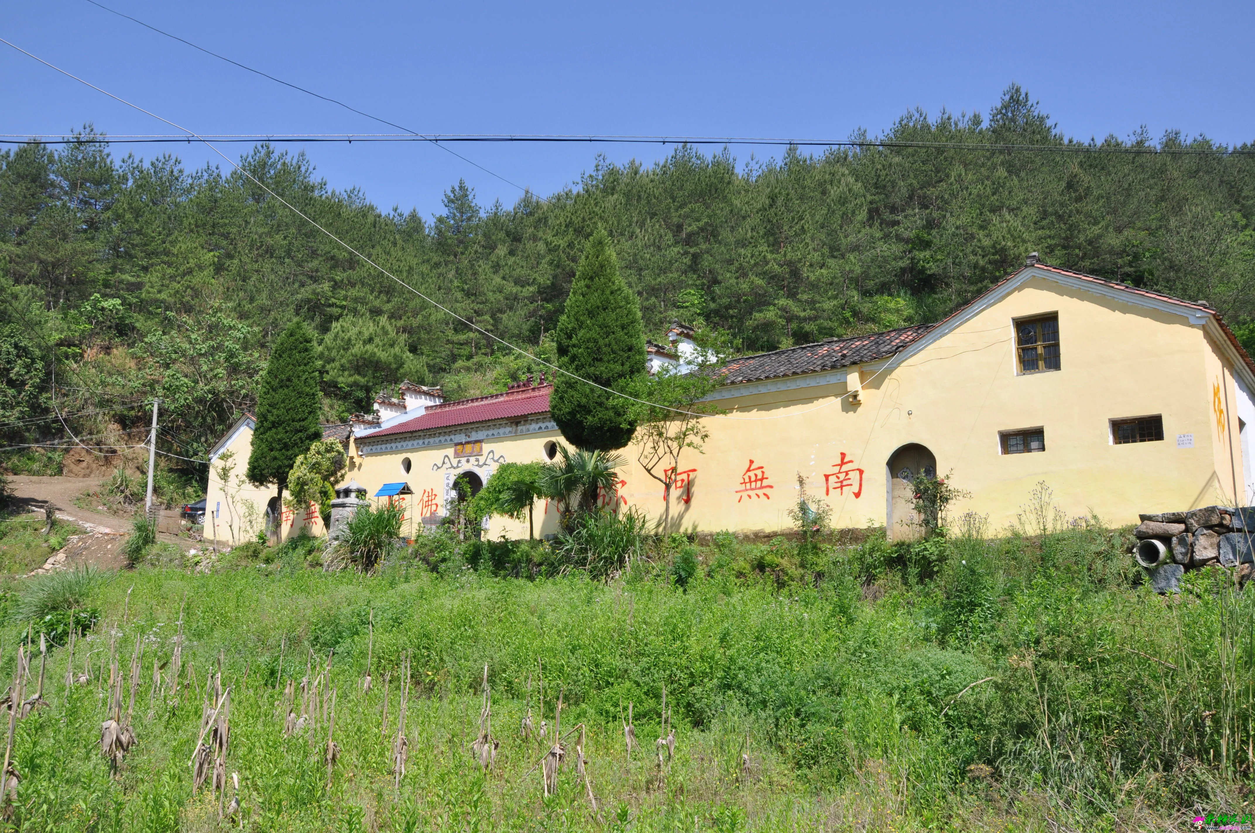 清静寺2.webp