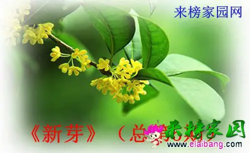 t01a2a03366b010314c_副本.webp