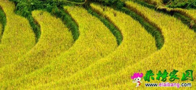 76e2ca169364c1a6558eac723a09d370.webp