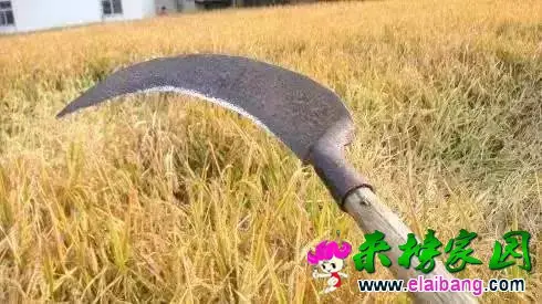 dab97419c3168a528f0d8bb9cc9a0d58.webp