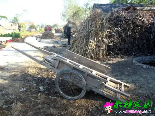 1bde9ce07a6c0ab781bcb005509f1795.webp