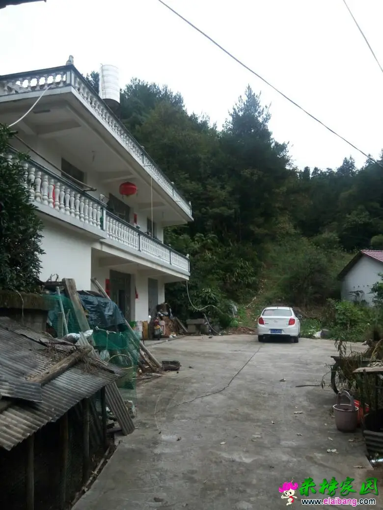075107exia61j0q6xzsp1e.webp