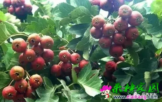 d4fc8fce0a98c9e42ad1d760510e4332.webp