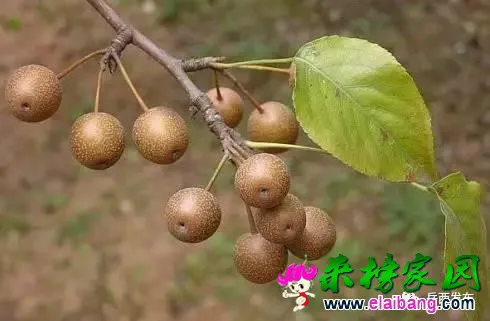22fffe51df932a4d002b05114f776774.webp