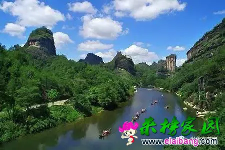 733f3fedc4af57fce81622af7a17db33.webp