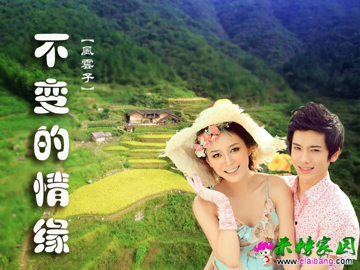 不变情缘.webp